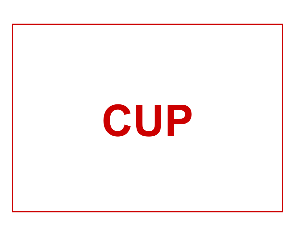 cup.crocerossa (2)